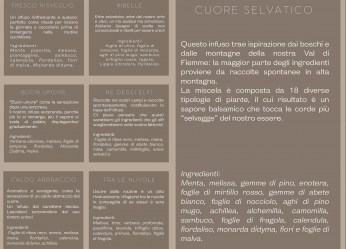 Nessuna immagine impostata 